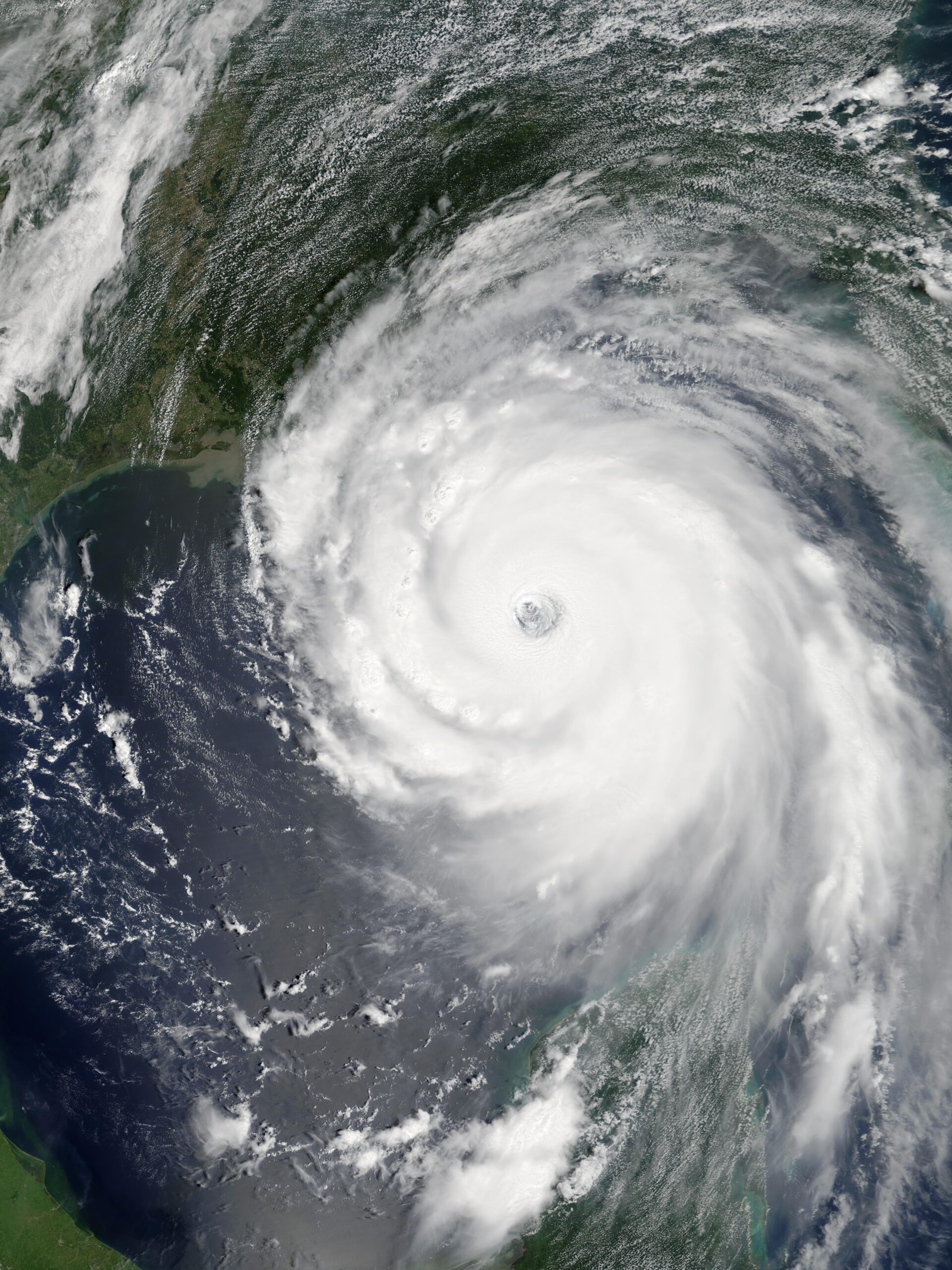 Katrina Ravaged New Orleans’ Arts Community. It Also Revitalized It