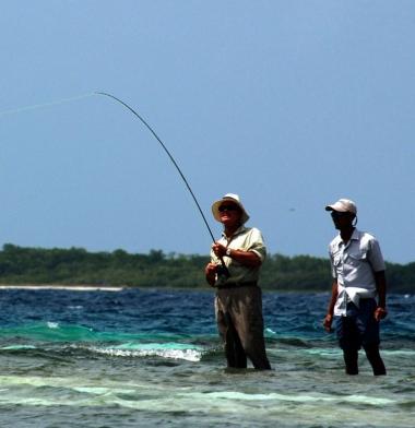 Calls for International Support and Sustainable Recovery Efforts