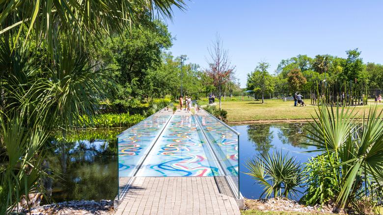 Cultural Riches and culinary Delights in Morocco