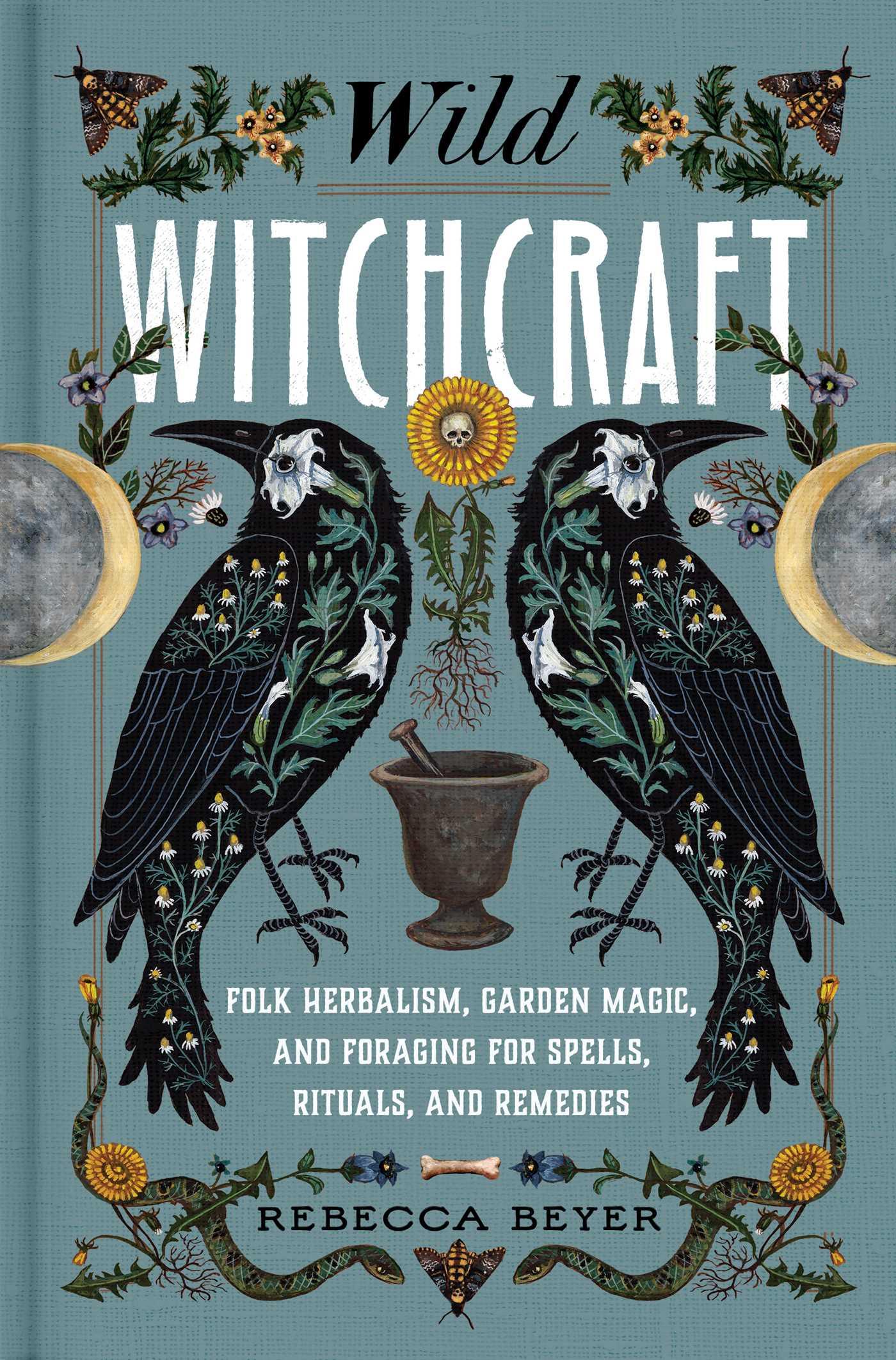Unpacking the Motivations Behind the Witchcraft Accusations and Their Socio-Political Implications