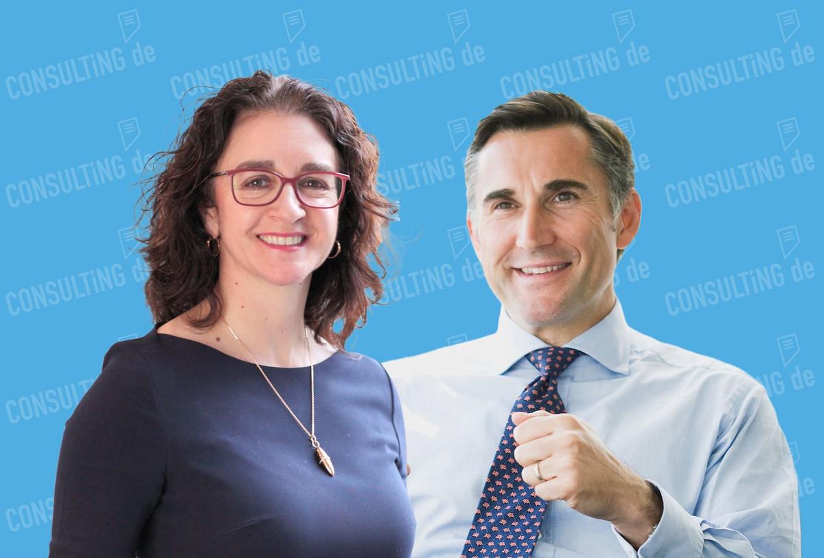 Strategies for Navigating Leadership Transitions in Startups and Consulting Firms