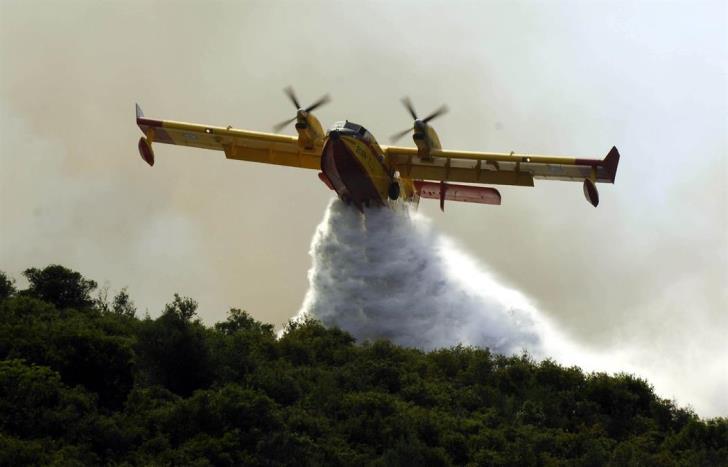 Building Resilience: Recommendations for Sustainable Fire Management Practices
