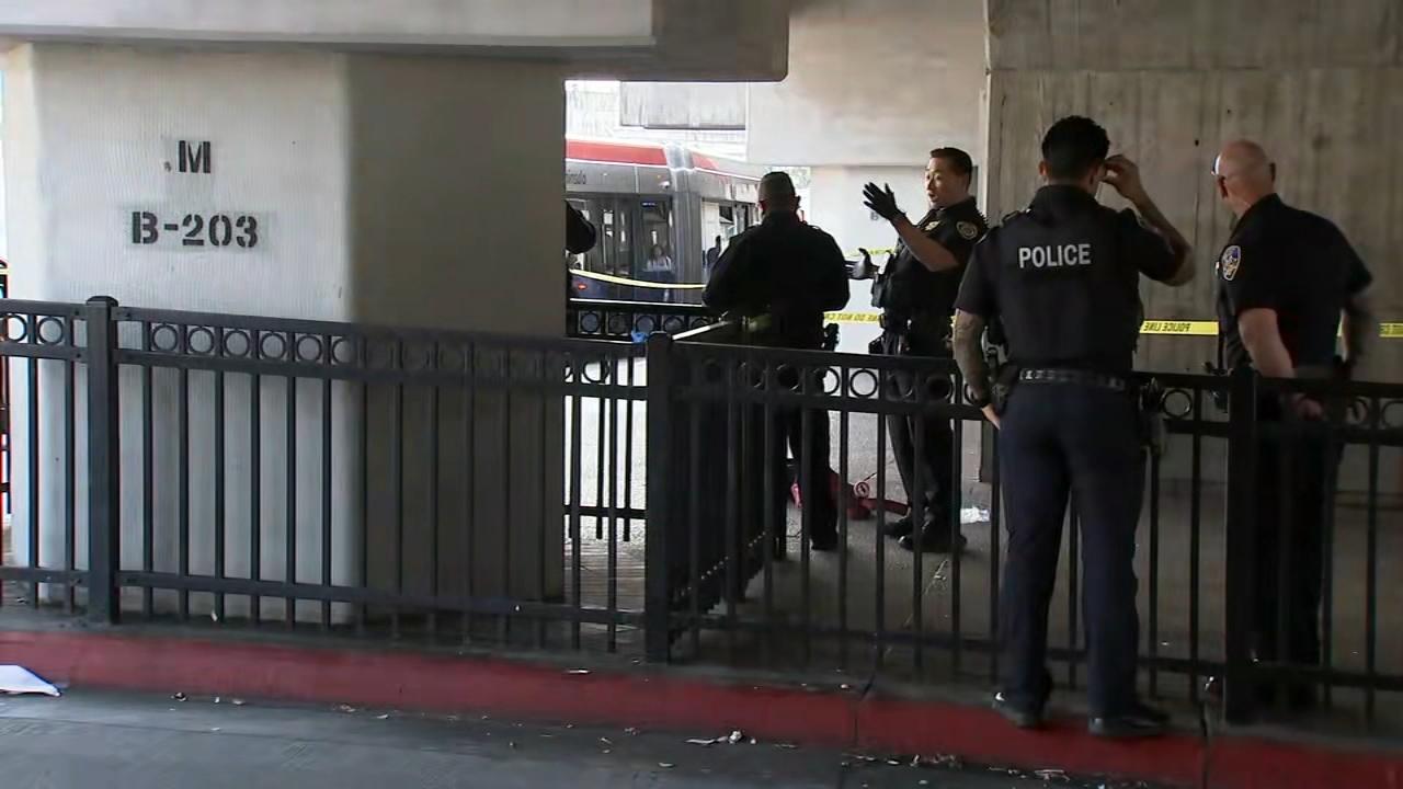 Victim's Family Issues Statement Expressing Heartfelt grief and Calls for Community Support