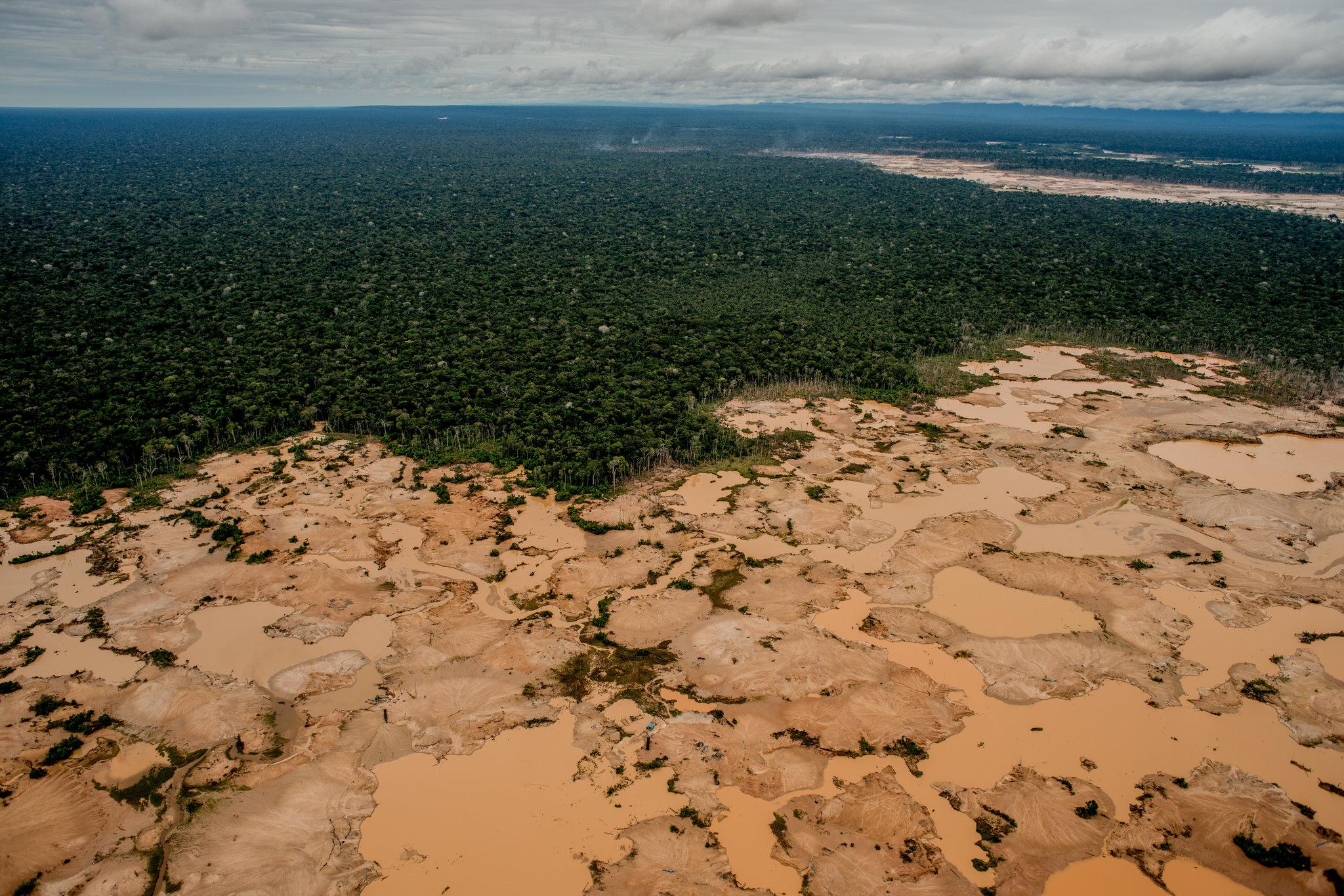 Toward Solutions: Strategies to Combat Illegal Mining and Protect Public Health