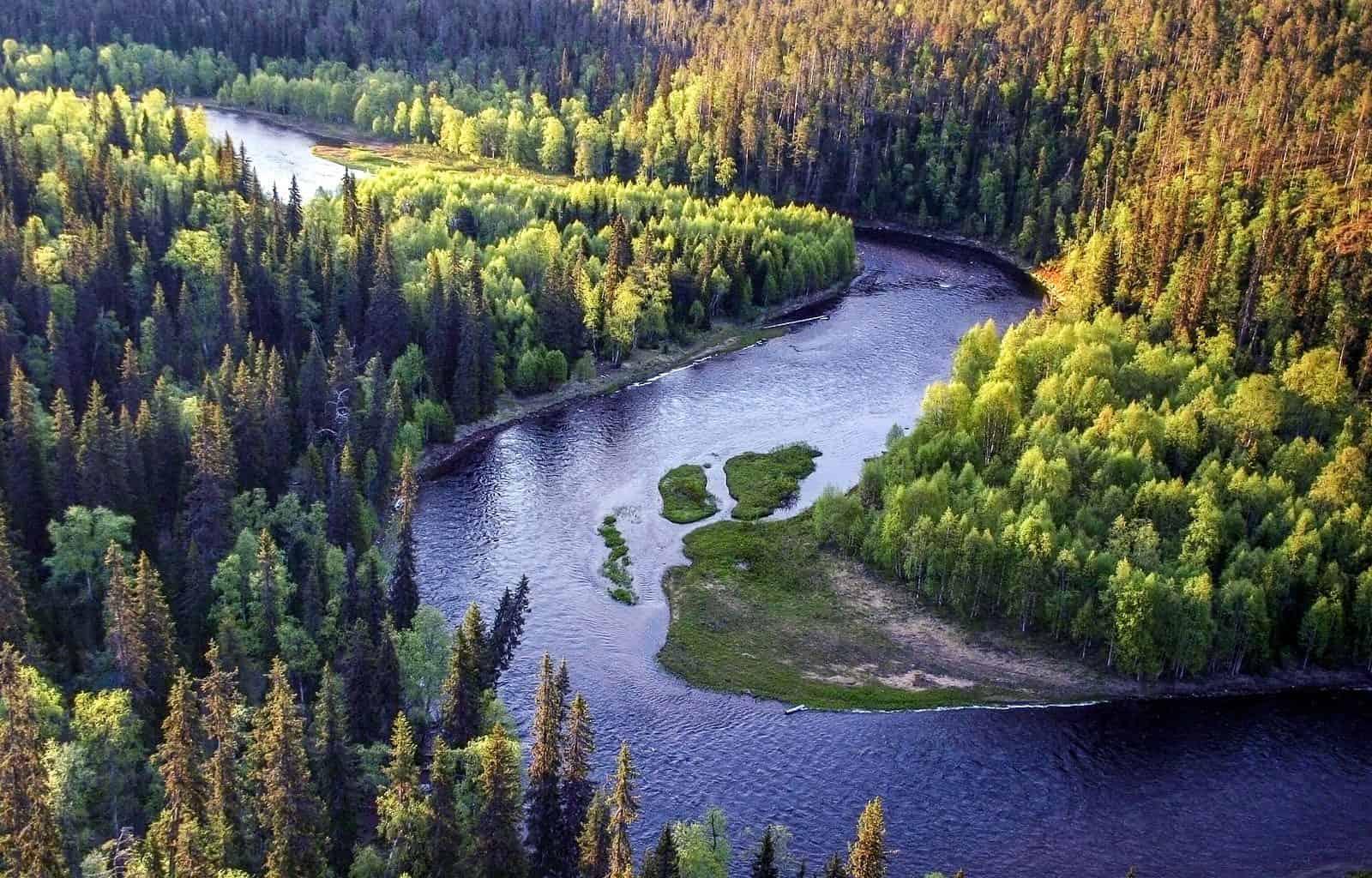 Rejuvenation and‍ reflection: The​ Healing Powers of‍ nature Escapes