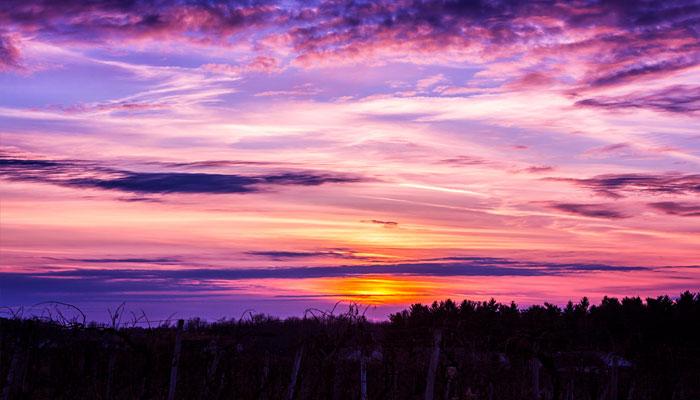 Preserving⁢ Aviation Heritage: The⁣ Future of ​Retired⁣ Fighter Jets ⁤in Museums