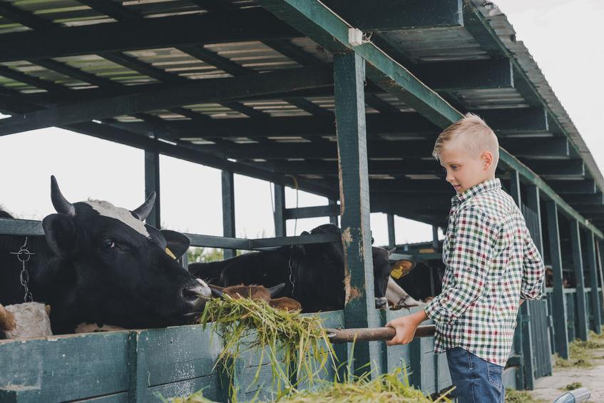 engaging the Public: How Transparency in Animal Welfare Can Build Trust
