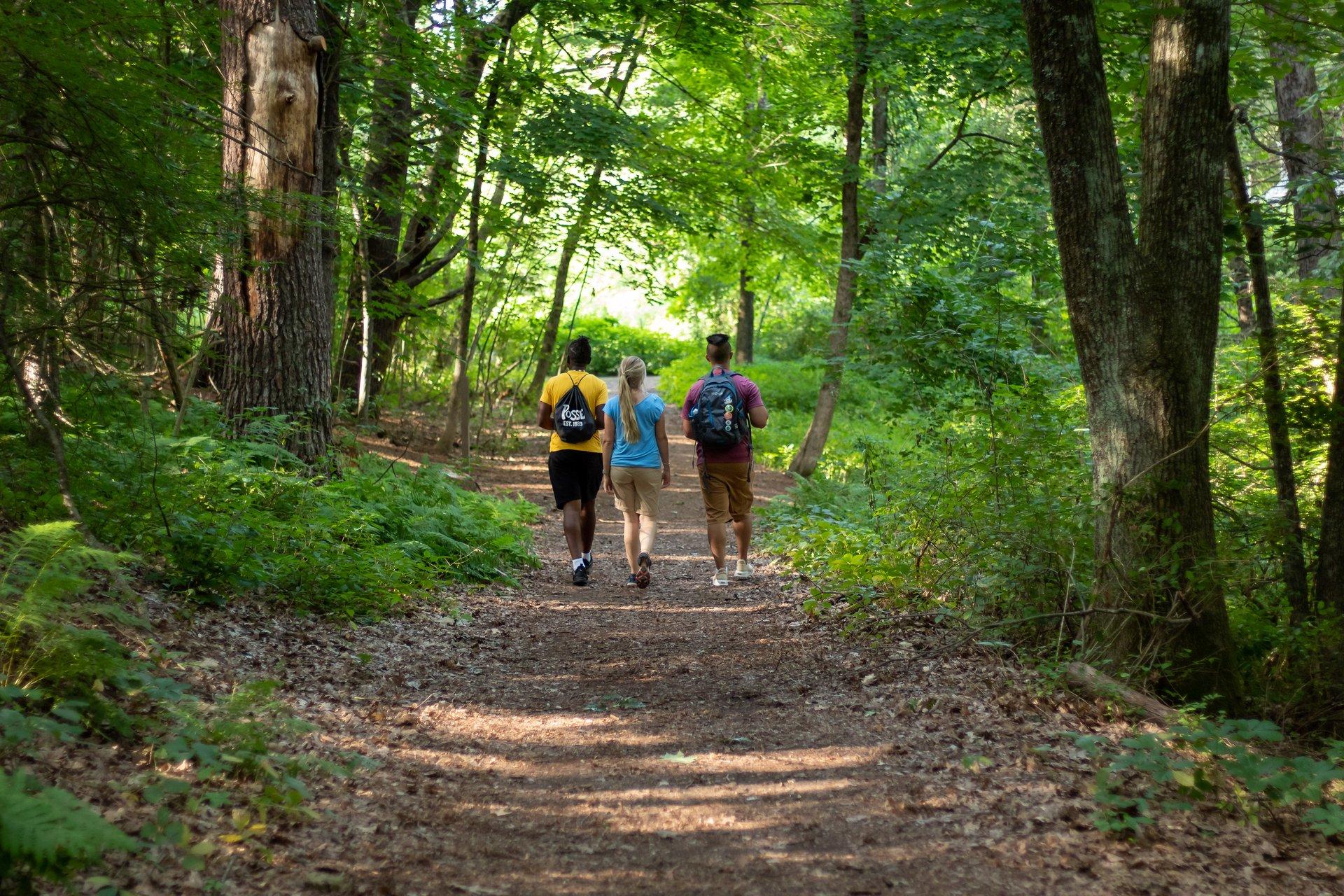 Practical Tips for Walking Enthusiasts and Nature Lovers