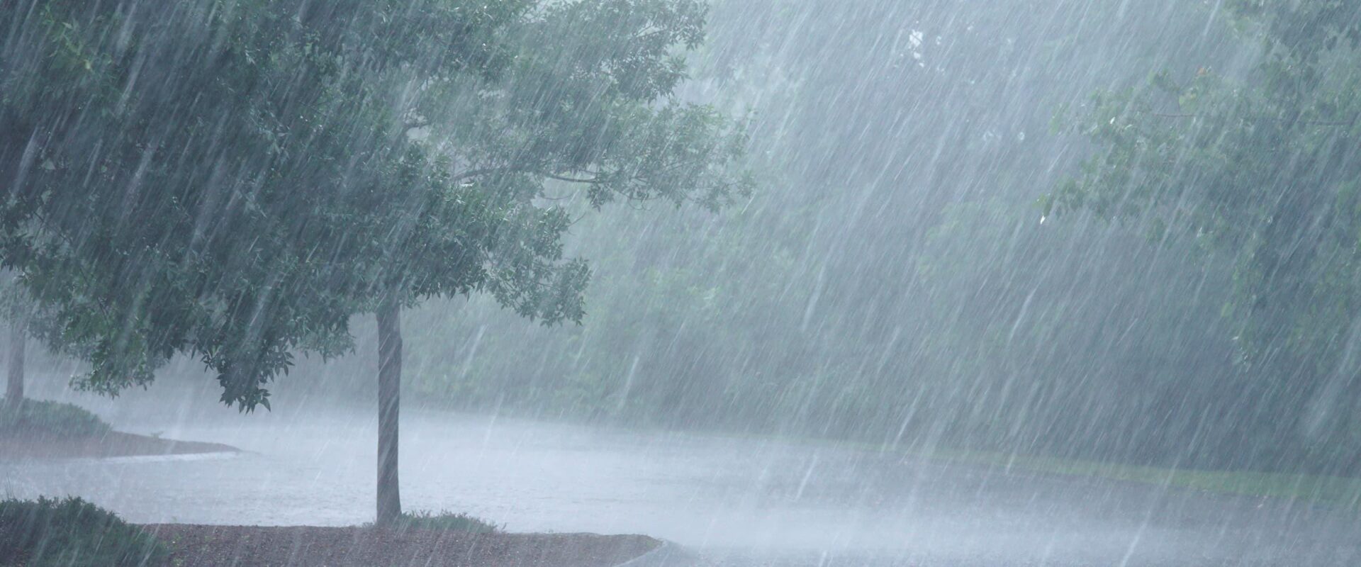 Heavy rain in Mexico sets off floods and landslides, killing at least 37