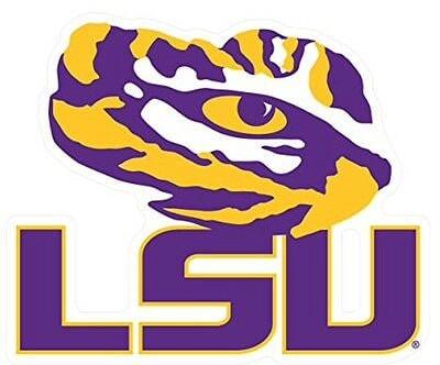 Recommendations for LSU's Leadership in Choosing a New Head Coach