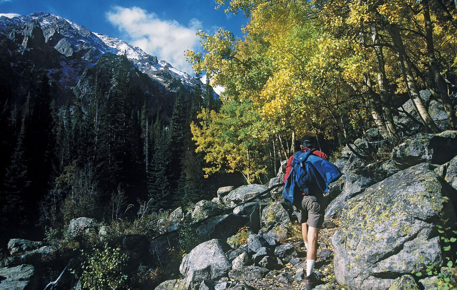 Wildlife Encounters: Discovering Diverse Flora and Fauna Along the Way