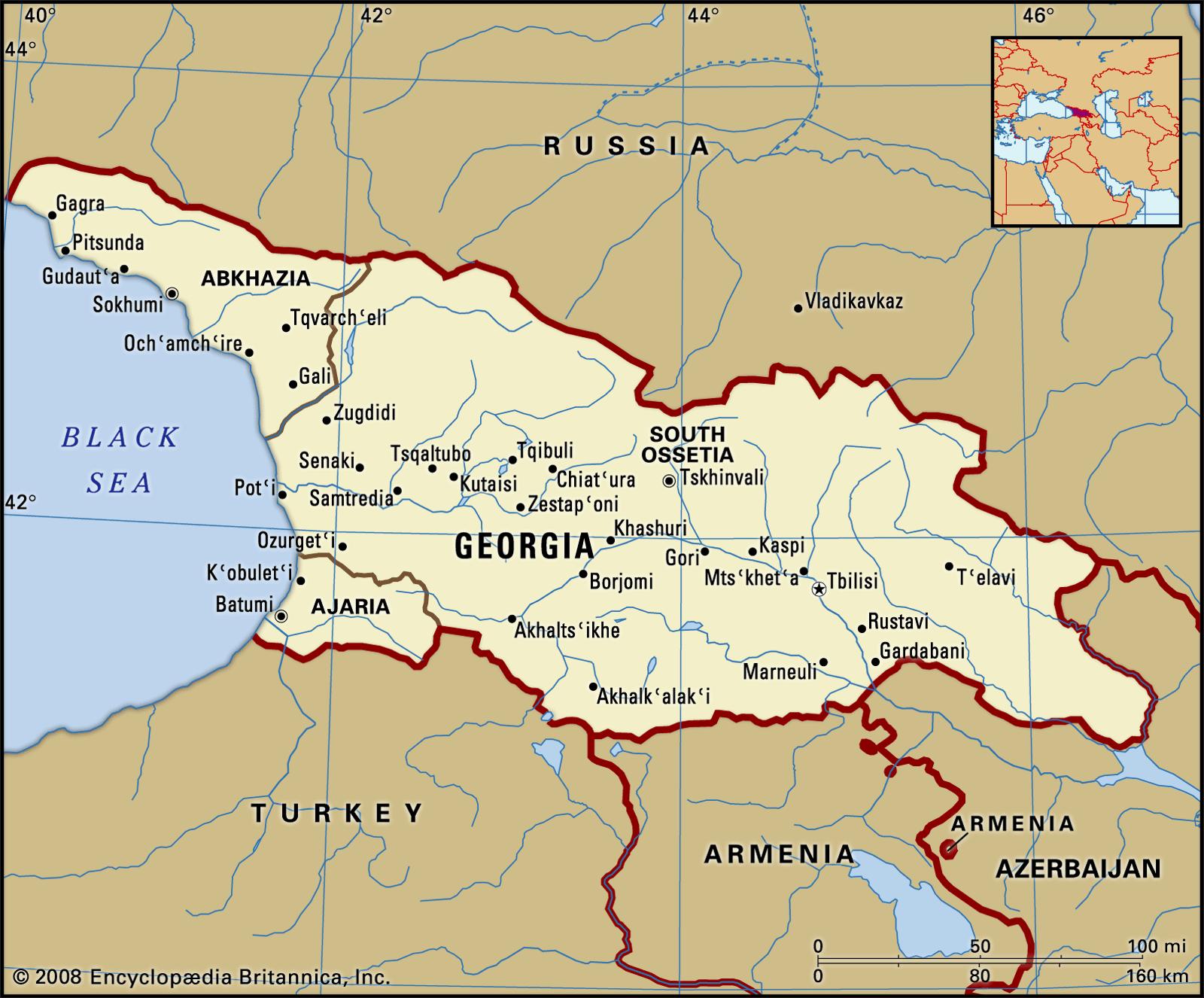 International Reactions and the Implications for Georgia's Democratic Values