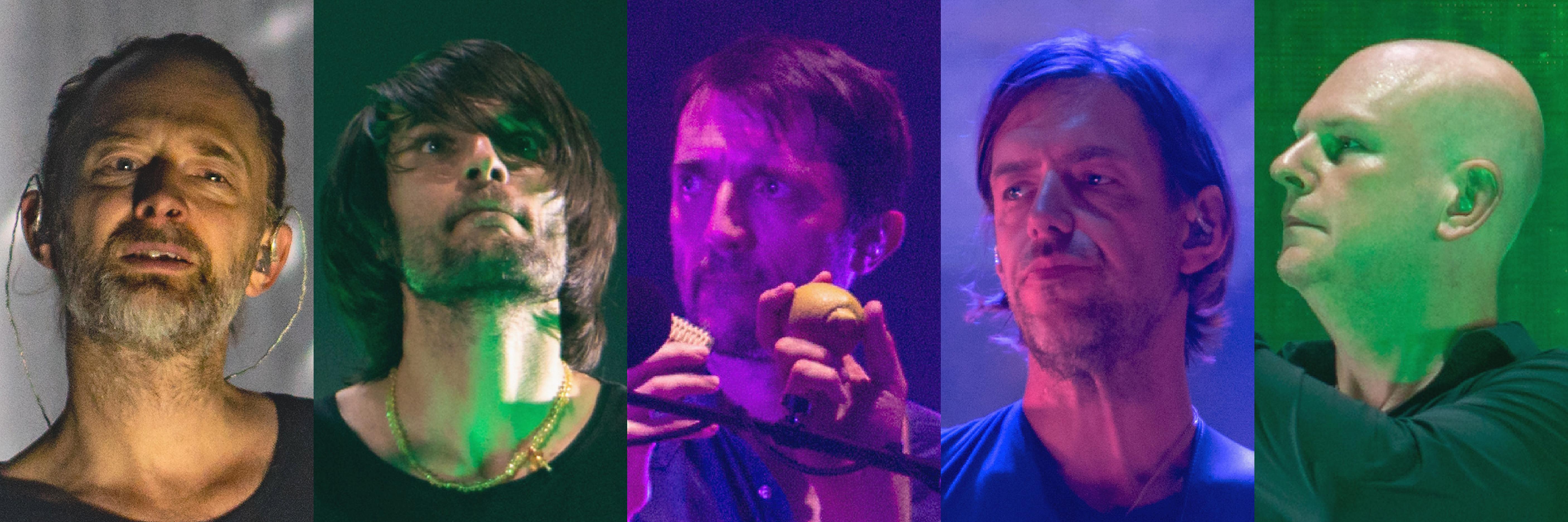 Insight into the Decision-Making Process behind Their Extended Break